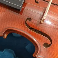 ویولن|ویولن|امیدیه, |دیوار