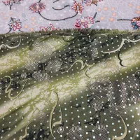 چادر|لباس|بجنورد, |دیوار