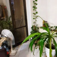 آپارتمان باغ غدیر - قیمت عالی بر فردوس دوم