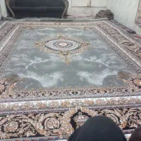 قالی12متر|فرش|بم, |دیوار