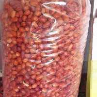 سنجد لوکس قرمز