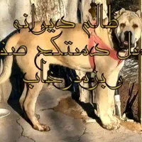 مجموعه سرابی آذربایجان