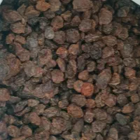 مویز لوکس ‌(پخش کشمش)