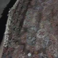 فرش 9متری700شانه تراکم1200|فرش|یزد, |دیوار