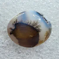 شجر منظره ردیفی خاکدار