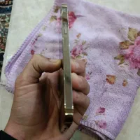 ایفون ۱۲پرو|موبایل|قرچک, باقرآباد|دیوار