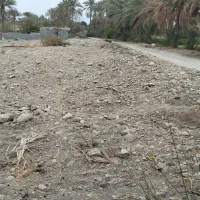 فروش زمین باغی