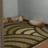 فرش ۹متری