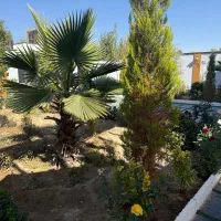 ویلای مدرن شهرکی سعید آباد تهراندشت قابل تهاتر|فروش خانه و ویلا|هشتگرد, تهران دشت|دیوار