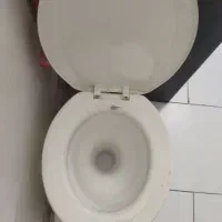 توالت فرنگی