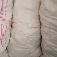 نان خشک|لوازم جانبی حیوانات|بندرعباس, |دیوار