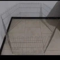 پارک سگ