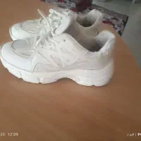 کفش|کیف، کفش، کمربند|ارومیه, |دیوار