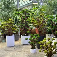 نیروی تولید گیفت های خزه ای|استخدام صنعتی، فنی، مهندسی|تهران, جماران (نیاوران)|دیوار