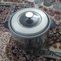 پلوپز برقی ژاپنی