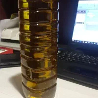 روغن زیتون بی بو اصل