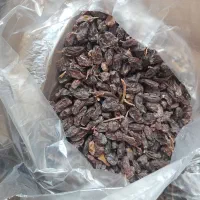 مویز بش دشمن زیاری|خوردنی و آشامیدنی|شیراز, تحویلی|دیوار