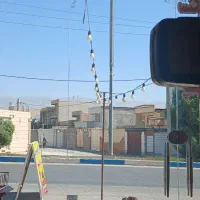 واگذاری مرغ فروشی