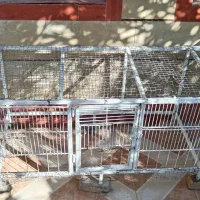 فروش یک دستگاه تختخواب و قفس سرهم