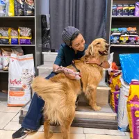 مربی سگ/آموزش سگ /اصلاح رفتار /تک جلسه و دوره کامل