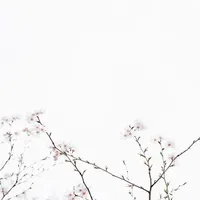 راهنمایی