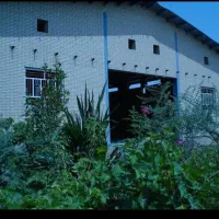 زمین تجاری 400 متری جنب باربری جزیره سبز|فروش زمین و ملک کلنگی|آبادان, |دیوار