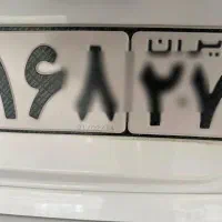 ماکسیما کلکسیونی
