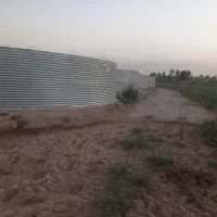 حوضچه ماهی|ماهی|اهواز, بهارستان|دیوار
