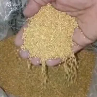 ارزن روس وارداتی/ قیمت ویژه