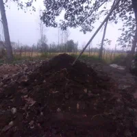 کود،چرم گاوی