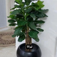 درختچه موز|گل مصنوعی|تهران, مشیریه|دیوار