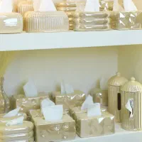 جا دستمال کاغذی لاستر رنگ ثابت