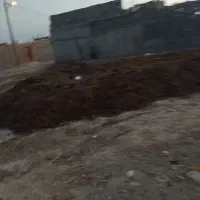 کود حیوانی گاوی