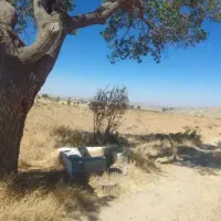 ۳۵میلیون پورسانت بابت فروش زمین