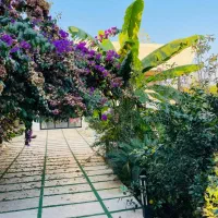 ۴۰۰مترویلاسرسبز/دلباز باسندشش.دانگ/جنگلی