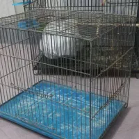 قفس|لوازم جانبی حیوانات|قم, تولید دارو و یخچال|دیوار