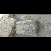 فروش یونجه خوراک دام