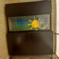 آکواریوم ساده و شرکتی ماهیران بسیار تمیز|ماهی|اصفهان, آهنگران|دیوار