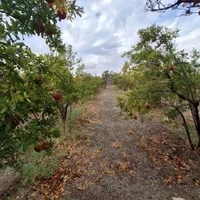 فروش باغ ۷۰۰ متری