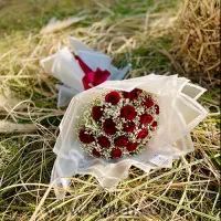 قشح یوخی لار گورسیز