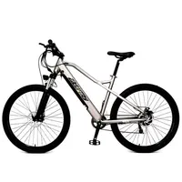 دوچرخه برقی با طراحی زیبا(درجه کیفیA++)