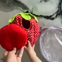 لونه پرنده طرح توت فرنگی