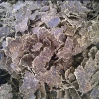 گندم وجووسویاوذرت وانواع کنسانتره هاو کاه و یونجه|عمده‌فروشی|ملارد, |دیوار