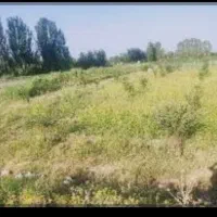 6000-متر-مربع-زمین-زراعی
