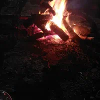 شازده زرد گمشده