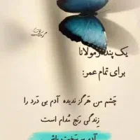 پیدا شدن کارت ملی