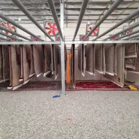 قالیشویی طلوع تابان سابق(پاکدشت. قیامدشت. خاورشهر)|خدمات نظافت|پاکدشت, پاکدشت (مامازند)|دیوار