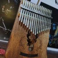 کالیمبا سگا پیکاپخور|سازهای سنتی|رشت, دباغیان|دیوار