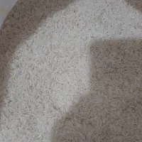 برنج فجر سوزنی|عمده‌فروشی|آق قلا, |دیوار