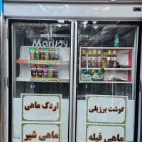 یخچال دو درب الکترواستیل ایستاده سالم بدون ایراد